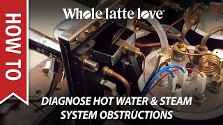 How To Diagnose Espresso Machine Hot Water or Steam System Obstructions [upl. by Aicek890]