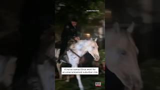 Riderless Horse Gallops Through California Neighborhood shorts [upl. by Ennoitna]