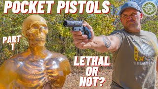 How Lethal Are Pocket Pistols  Part 1 [upl. by Faxan176]