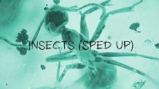 LIL DUSTY G  INSECTS sped up [upl. by Giacomo]