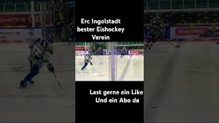 Erc Ingolstadt bester Verein music remix rap remixmusic [upl. by Weidner]