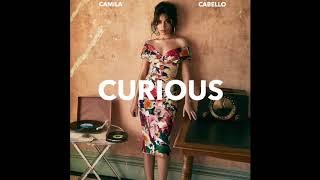 Camila Cabello  Curious Snippet [upl. by Tem]