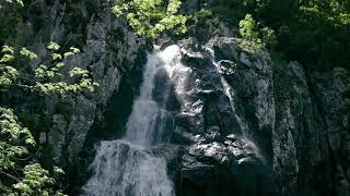 Boyana Waterfall [upl. by Ytsirc822]