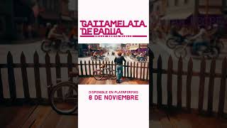 Gattamelata de Padua  8 de noviembre shorts canciones musicaindie [upl. by Nylesor]