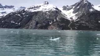 Iceberg Seltzer in Glacier Bay [upl. by Ahsets]