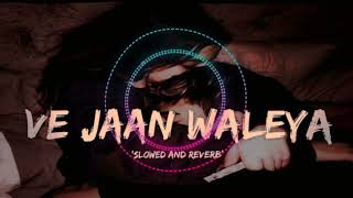 Ve Jan waleya slowed reverb new song [upl. by Len]