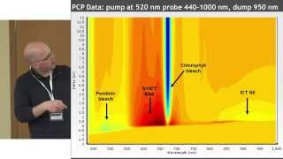 quotUltrafast processes explored by spectroscopyquot Mikas Vengris  Open Readings 2015 [upl. by Ail]