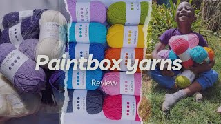 Paintbox yarns Review [upl. by Nosnhoj140]