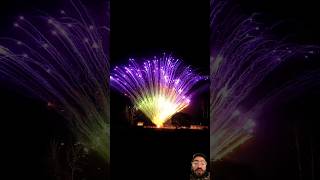 fireworks 4thofjuly fireworkscake fireworks2023 facts [upl. by Nnylamme296]