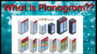 What is Planogram  An Introduction to Visual Merchandising [upl. by Bijan]