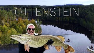 HECHT Kapital  Fliegenfischen im Waldviertel [upl. by Isnan]