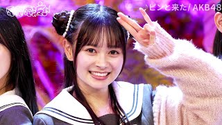 AKB48  Pin to Kita  ピンと来た   Ano chan no Denden Denpa 4K 60fps [upl. by Hbahsur]