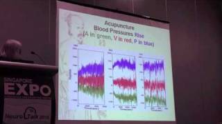 Mechanism of Acupuncture theory and Its Challenges to Neuroscience Eng vers pt 23針灸機制 [upl. by Corsetti110]