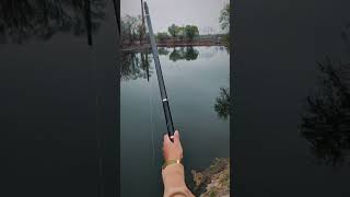 2 in 1 Fishing Rod  MT fishing fishing cauca mtfishing fishingvideo [upl. by Subir]