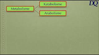 Bab 2C Anabolisme karbohidrat16 [upl. by Ahtekahs632]