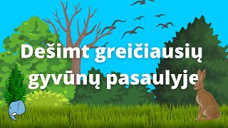 Dešimt greičiausių gyvūnų pasaulyje🐯  Edukaciniai filmukai vaikams🐘 [upl. by Yemirej]