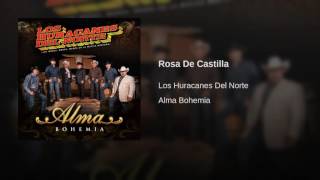 Los Huracanes Del Norte  Rosa De Castilla Audio [upl. by Ahsietal]