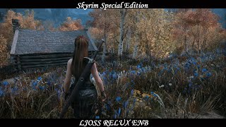 Skyrim SE  Ljoss ReLUX ENB For Cathedral Weathers [upl. by Anirahs]