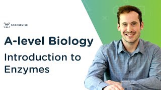 AS Biology  Nucleotide structure OCR A Chapter 38 [upl. by Leahicm109]