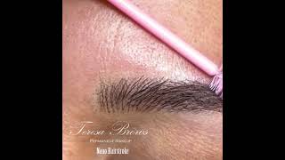 Realistic nano hair stroke brows [upl. by Perlman]