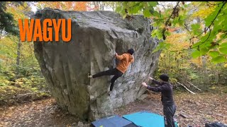 Wagyu V5 ✅ KAMOURASKA 🇨🇦 Bouldering 🪨 [upl. by Nertie]