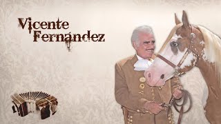 Vicente Fernández  Mano a Mano [upl. by Connor]