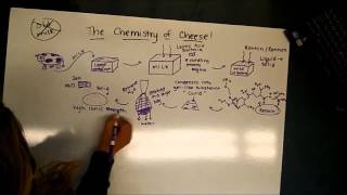 The Chemistry of Cheese [upl. by Namara]