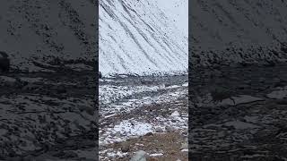 IBEX Herd Crossing Road and River at Skardu Pakistan [upl. by Ainesey]