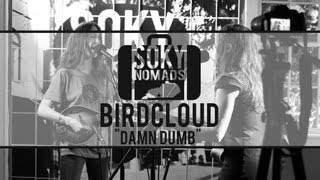 SOKY Nomads  Birdcloud  Damn Dumb [upl. by See]