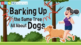 Barking Up the Same Tree – All About Dogs [upl. by Rourke657]