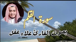 سورة القلم بصوت القارئ علاء عقلahmadamer23 [upl. by Renelle]