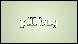 Pill bug Meaning [upl. by Gothar]