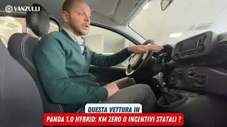 FIAT Panda 10 Hybrid meglio km zero o incentivi statali [upl. by Tihw]