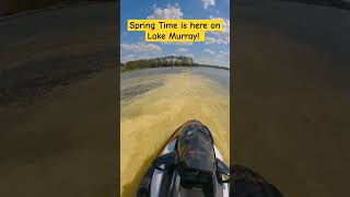 Lake Murray SC Spring Time lakemurray seadoo lakelife [upl. by Lattonia]