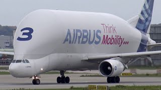 Super Transporter Airbus A300 Beluga departing Hamburg Finkenwerder Airport [upl. by Skardol]