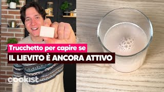 Lievito di birra scaduto Il trucchetto per capire se è ancora attivo [upl. by Ayoras57]