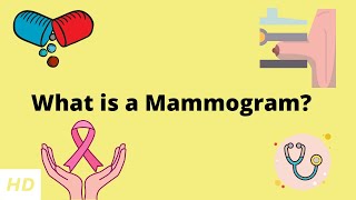 What is a Mammogram Everything you need to know [upl. by Eniagrom]