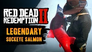 Red Dead Redemption 2 Legendary Fish  Legendary Sockeye Salmon [upl. by Eahc]