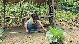 Poor girl in the process of completing an interior made of bamboo [upl. by Niuqram]