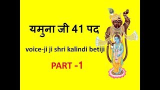 यमुना जी 41 पद  voice by Ji Ji ShriKalindi Betiji  PART1 [upl. by Riamo588]