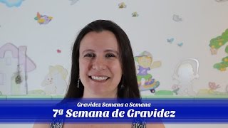 7ª Semana de gravidez [upl. by Yrrad]