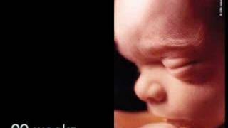 Prolife AntiAbortion Video Development of the Unborn Baby [upl. by Hsenid473]