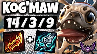 KogMaw vs Kalista  ADC  Lol Korea Master Patch 1410 ✅ [upl. by Kristian]