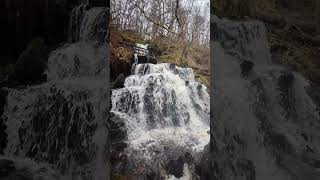 Birks of Aberfeldy After Storm Ashley waterfall scotland nature [upl. by Eugor]