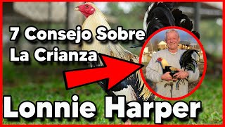 4 Razas De Gallos Que Cria Lonnie Harper  7 consejos de lonnie harper en la crianza [upl. by Sublett]