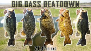 Spring Bass Fishing  Best Trip Ever [upl. by Finny295]