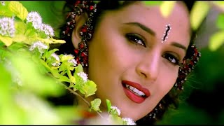 Dekha Hai Pehli Baar  4K Video Song  Salman Khan Madhuri Dixit  Saajan  90s Best Romantic Song [upl. by Richer]