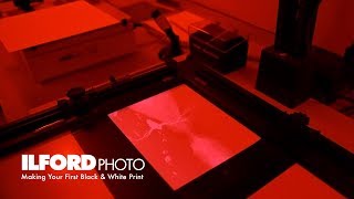 Making Your First Black amp White Darkroom Print [upl. by Airamak]