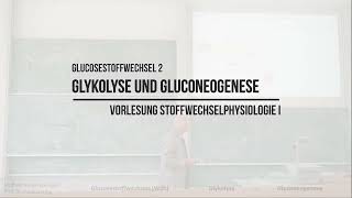 Glykolyse und Gluconeogenese Glukosestoffwechsel 2 [upl. by Reynold]