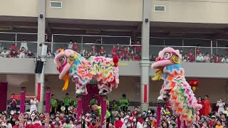 PreCNY 2024  Acrobatic Lion Dance by 群樂 Khuan Loke at SJK C Yuk Chai [upl. by Hanonew]